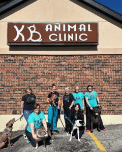 Our amazing team at Kennedy's Animal Clinic of Lee's Summit!